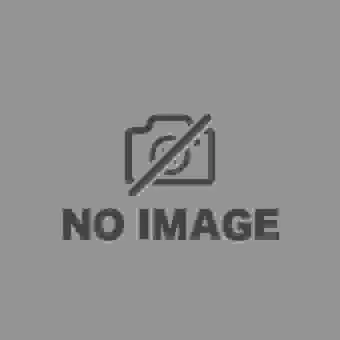 追溯日本動畫電影發展歷程的《動畫新畫町》的評論