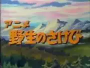 動畫《曠野的呼喚》的吸引力和聲譽