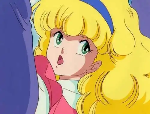 朱迪和蘭迪:火焰阿爾卑斯玫瑰的吸引力和評論