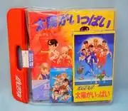 《陽光燦爛》的魅力與評價:一部必看動畫