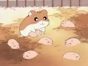 倉鼠俱樂部：對故事中引人入勝的角色和深刻內涵的全面評論