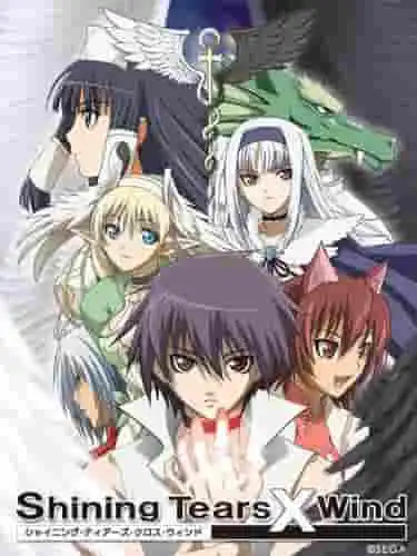 《閃耀的淚×風》的魅力與評價：感人故事與角色深度的深入分析