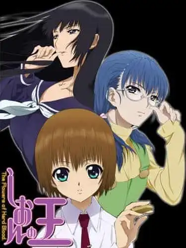 紫苑之王:探索硬血之力的深淵