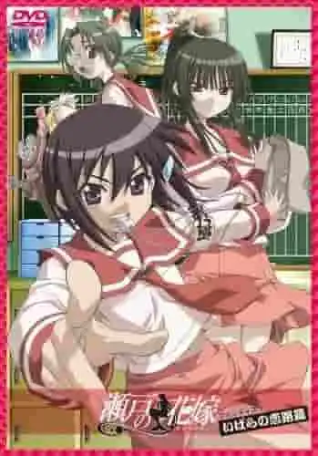 全新短篇動畫合輯《瀨戶之花嫁》的吸引力與評價