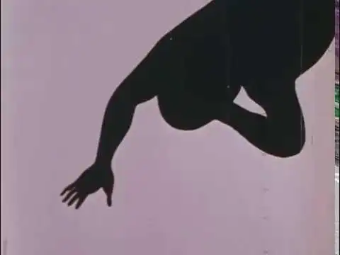 《影》:一部描繪陰影、評論和印象的獨特作品