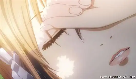 《花牌情緣》的魅力與聲譽：一部描繪競技歌牌世界的感人故事