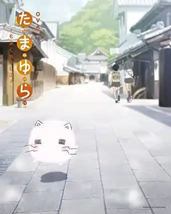 OVA《玉響:更激進》的吸引力與評價