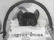 《小貓的病》影評：感人的故事和美麗的音樂