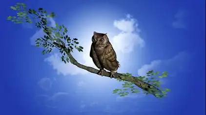 蓬萊寺山的滾軸:《大家的歌》的吸引力與評價