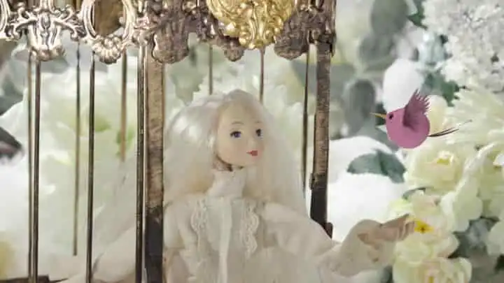 《Kotodori》:對NHK《大家的歌》的吸引力與情感的深入分析