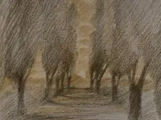 夕顏之鄉:重新評價所有人的動人歌曲