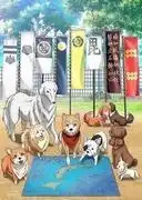 織田肉桂信長：欣賞歷史與貓的獨特融合