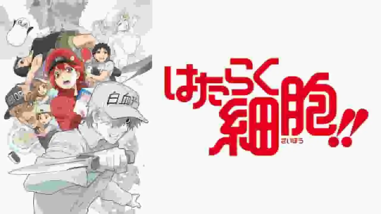 工作細胞！ ！第二季：一段全新的冒險與感人至深的細胞故事